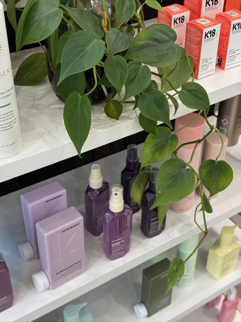 Evolve Hair Studio